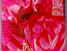 Rare SIGNED Siouxsie & The Banshees 1984 THE THORN 12