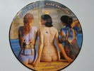 Pink Floyd - Rare Beauties Picture Disc LP EX+