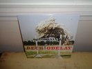 Beck Odelay US LP Original Sonic Youth X Wilco