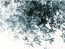 Pärt, Arvo: The Deer's Cry