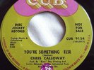 CHRIS CALLOWAY   YOU'RE SOMETHING ELSE ** US CUB 45 PROMO