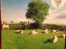 THE JAMS - KLF - CHILL OUT - RARE - FIRST PRESSING - JAMS LP5 - VINYL