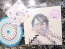 ANIMAL COLLECTIVE Painting With LP DLX Panda Bear Cover + Slipmat & 7