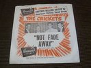 THE CRICKETS : OH BOY  / NOT FADE AWAY : USA ORIGINAL WITH RARE PICTURE SLEEVE