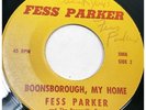 FESS PARKER private label OOP / VERY RARE / Signed  NICE VINYL  45