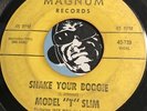 MODEL T SLIM Rockabilly Blues 45 Shake Your Boogie b/w Jackson Tennessee