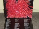 Morgoth - Resurrection absurd LP Vinyl Deadhead Pungent Stench Obituary