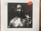 Muddy Waters – After The Rain – Chicago Blues Vinyl LP - Sealed