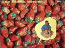 CHUCK BERRY - ONE DOZEN BERRYS - ORIGINAL 1958 VINYL LP # HA-M 2132 - VERY RARE