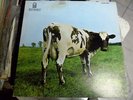 Pink Floyd record of 12