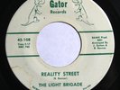 The Light Brigade - Reality Street/School Days 45 Florida Garage Psych Fuzz HEAR