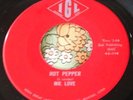 Wild Primitive '66 Iowa Garage Punk Blues Raver 45 Mr. Love Hot Pepper IGL HEAR