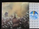 STEELY DAN katy lied US LP MCA-37043 (NM- rainbow) EXPORT FOR SINGAPORE import
