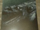 Rainforest Spiritual Enslavement - Black Magic ...LP, Inade, NON, Coil