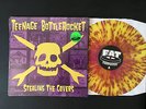 Teenage Bottlerocket Stealing the Covers euro store NOFX, Fat wreck chords