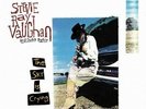 Stevie Ray Vaughan & Double Trouble - The Sky Is Crying VINYL LP