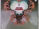 ASSAGAI zimbabwe RARE LP PHILIPS  Afrobeat /  Psyché  ORIGINAL 1971