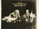 The Raconteurs 