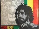 RASTA DUB 77 - MICRON ( RARE ROOTS DUB LP )