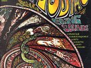 PROG/PSYCH-LP- THE ZODIAC COSMIC SOUNDS-LP- ORG. ELEKTRA-USA- 1971-