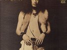 AMBOY DUKES-TED NUGENT-LP- DR. SLINGSHOT- MAINSTREAM REC.-USA-1974-