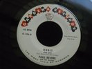 Z2 GARDENA 106 GARAGE ROCK PAUL REVERE & THE RAIDERS ORBIT THE SPY BEATNICK