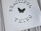 The Stone Roses - Beautiful Thing Vinyl VST 2140 Limited New Sealed