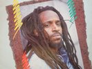 ROOTS LP / LITTLE ROY / PROPHESY / TAFARI