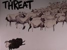 MINOR THREAT - Out Of Step - Vinyl (LP + MP3 download code)