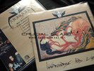 ABIGAIL Intercourse And Lust LP Japanese black thrash Sigh barbatos sabbat nme