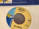 THE SANDALS - HOUSE OF PAINTED GLASS - US World Pacific DJ 7