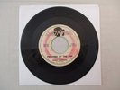 BOBBY SWANSON AND THE SONICS TWISTING AT THE TOP 45 DONNA 1356 Rare Rockabilly
