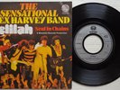 THE SENSATIONAL ALEX HARVEY BAND 'Delilah' 1975 German 7
