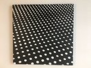 Beach House Bloom Limited Edition white vinyl