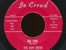 THE NEW BREED / Big Time - IN CROWD 45 / Ron Price garage TEXAS /  hear it