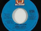 Denise LaSalle 