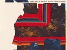 GRIZZLY BEAR - PAINTED RUINS  2 VINYL LP NEW+