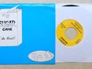 SUGAR CANE: Kamikaze 45 Cosmic private AOR rock '84 hear