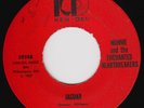 NUNNIE & ENCHANTED HEARTBREAKERS Jaguar RARE r&b funk 45 DEEP SOUL northern soul