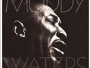 MUDDY WATERS - MANNISH BOY/BEST OF MUDDY WATERS 2 VINYL LP NEU