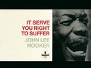 John Lee Hooker - It Serve You Right To Suffer VINYL LP 2LP AIPJ9103