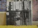 PAUL MCCARTNEY, CHAOS AND CREATION IN THE BACKYARD LP 00946 337958 1 5 BEATLES