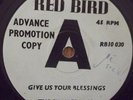 The Shangri-Las-Give us your blessings Demo. 7