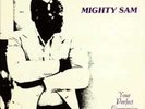 Mighty Sam McClain / Your Perfect Companion - Vinyl LP