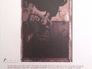 Pixies Surfer Rosa LP vinyl record sealed reissue 180 gram