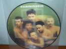 Rammstein ?– Mutter (LP picture disc)
