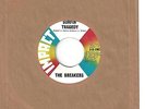 BREAKERS 45  Surfin' Tragedy / Surf Bird - NM