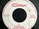 THE WILD ONES Tale Of A City/ #5 ORLYN Indiana Garage LISTEN