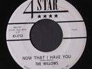 WILLOWS: Now That I Have You / There's A Dance Goin' On 45 (dj, wol)