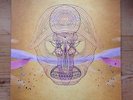 DEVENDRA BANHART, WHAT WILL WE BE VINYL, Double LP